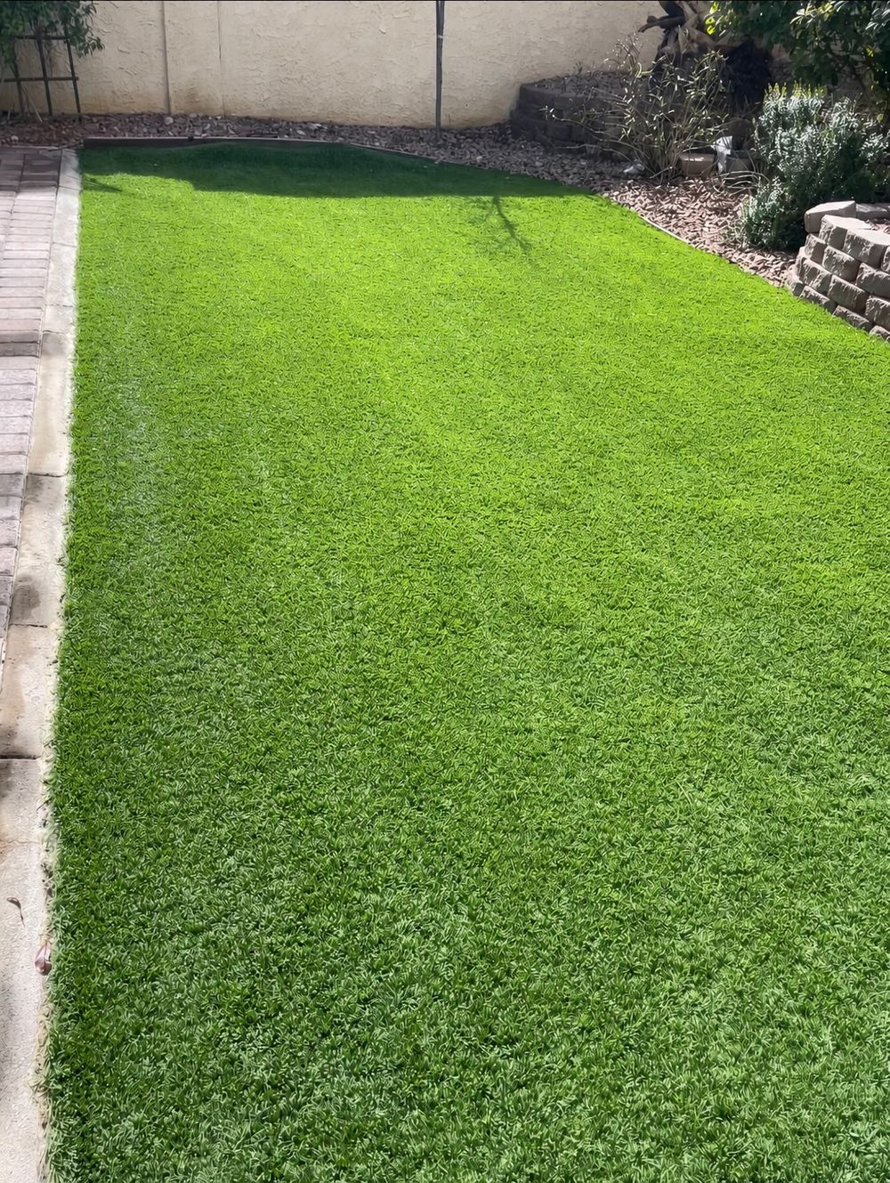 Clean artificial-turf yard after demonstration cleanup